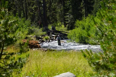 DSC_9909 (Large).JPG